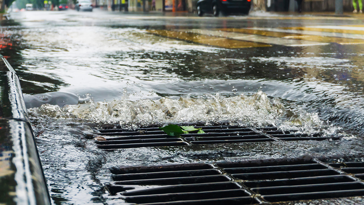 Close-up of stormwater pouring into a metal street grate during a heavy rain event on an urban street — stormwater runoff collects PFAS from impervious urban surfaces and delivers them to receiving streams within hours